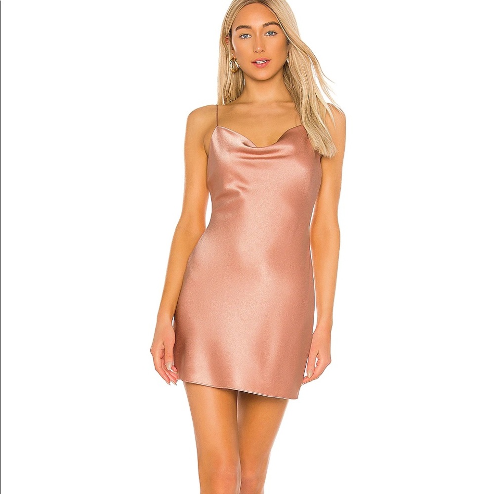 Sold 🆕ALICE + OLIVIA Harmony Roseslip dress Sz 10 - Picture 4 of 16